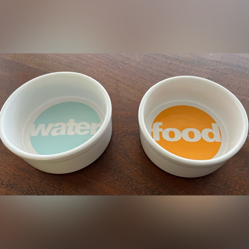 Modern Pet Bowl set for water and food
